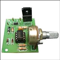 MP306F